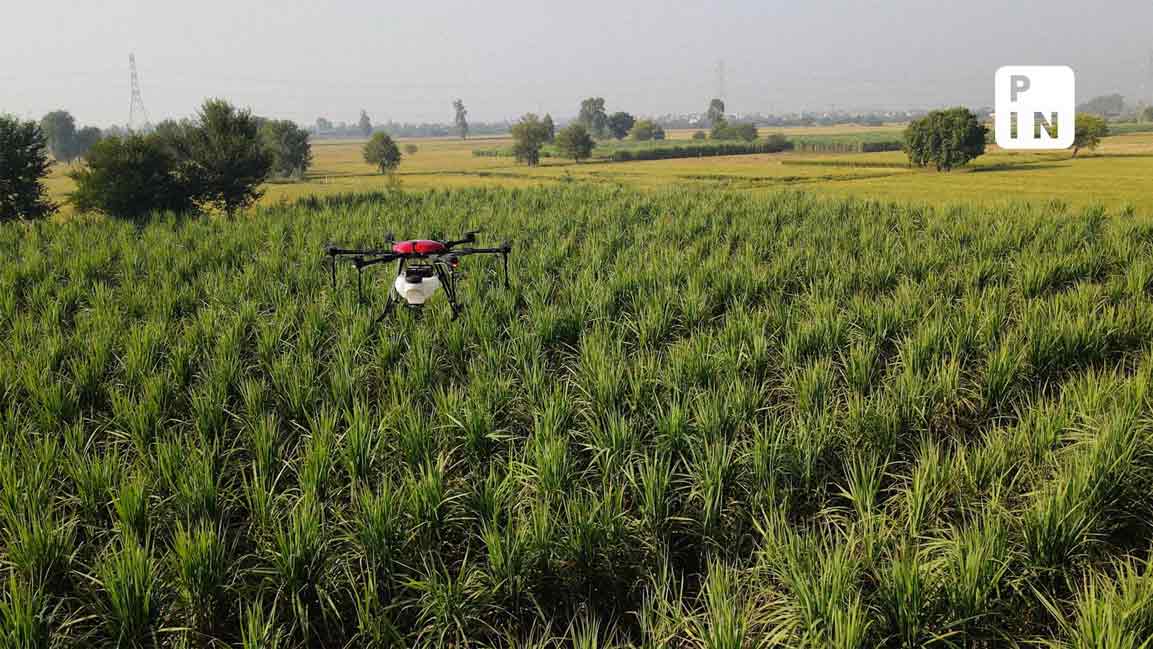 How drones are reshaping India’s farm landscape