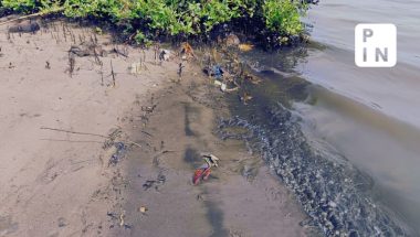 Oil leaked into the Kosasthalaiyar river via the Buckingham Canal and reached the Ennore estuary, a crucial fishing ground, and spread almost 20 square kilometers in the sea.Picture courtesy: Smitha T.K.
